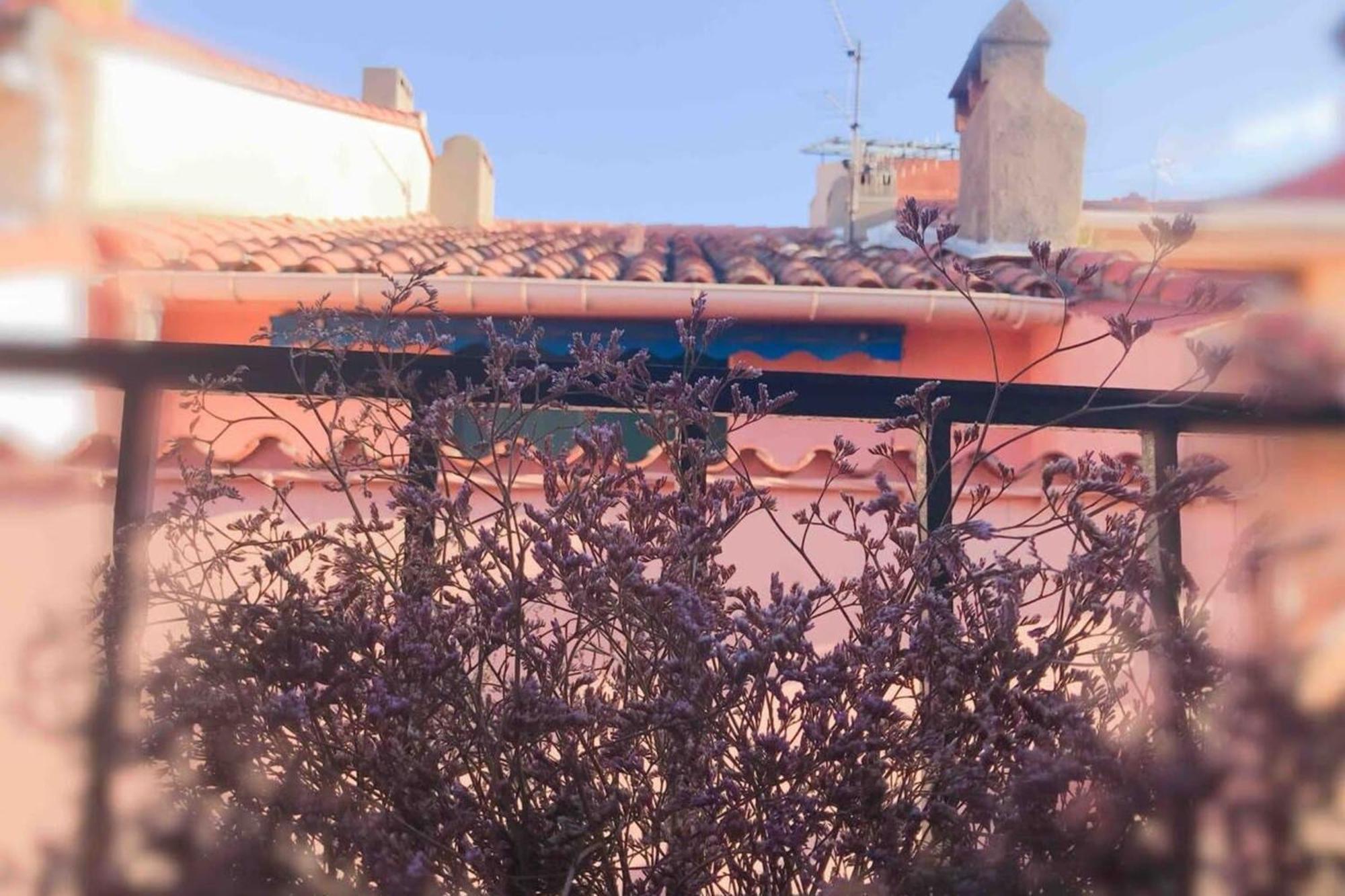 Residence St Vincent Collioure Exterior photo